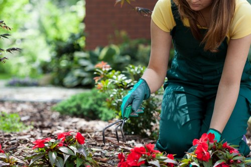 Sustainable garden practices in Ealing
