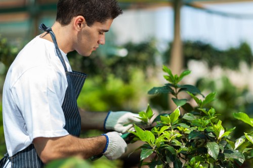 Sustainable gardening practices in Ealing