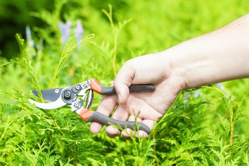 Community gardeners working together in Ealing