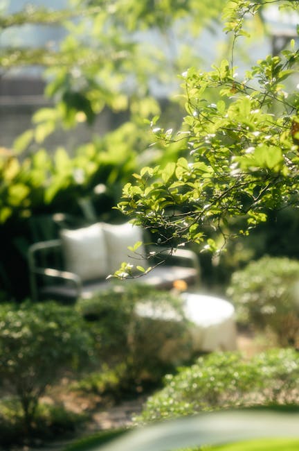 A lush, well-maintained garden featuring a variety of plants, shrubs, and trees creating a dense green backdrop. In the foreground, large leafed plants and smaller bushes surround a circular white tab